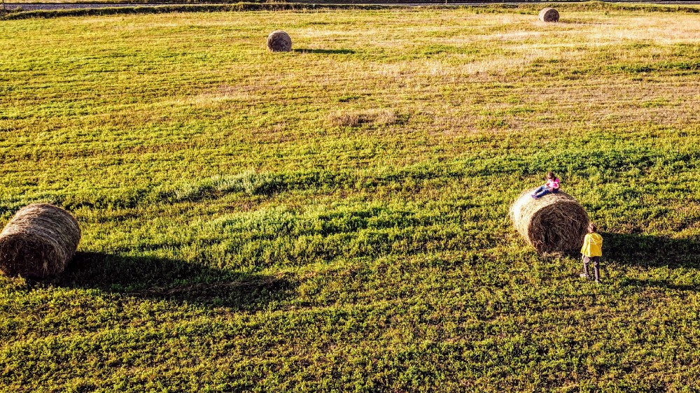 1 Dgi lzpZoFKYdpKRqah4YQ